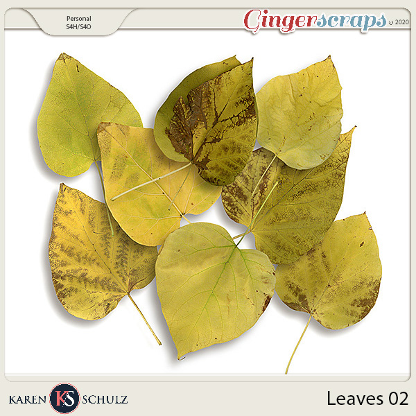 Leaves 02 by Karen Schulz