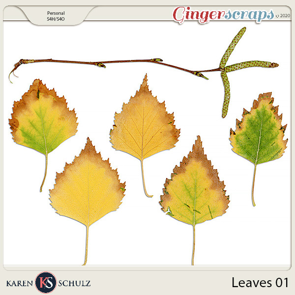 Leaves 01 by Karen Schulz    