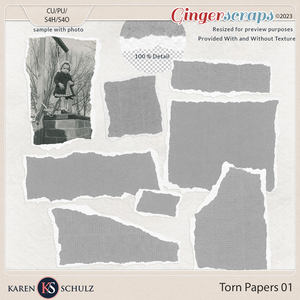 Torn Papers 01 by Karen Schulz