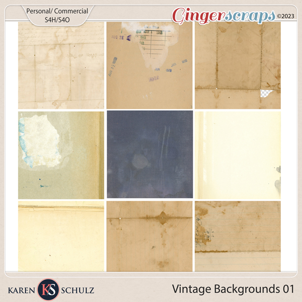 Vintage Backgrounds 01 by Karen Schulz