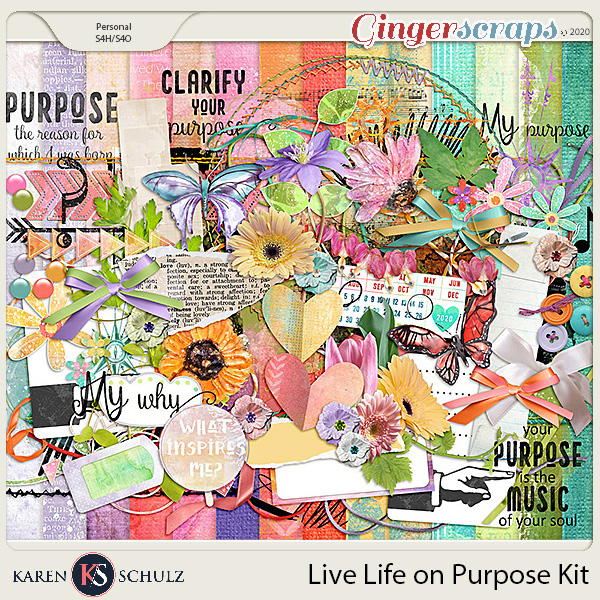 Live Life on Purpose Kit by Karen Schulz