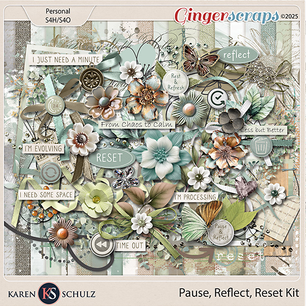 Pause, Reflect, Reset Kit by Karen Schulz