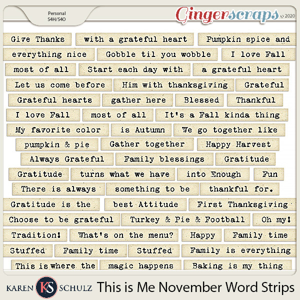 This is Me November Word Strips by Karen Schulz