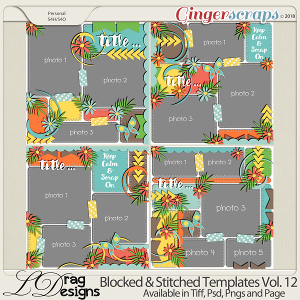 Blocked & Stitched Templates Vol.12 by LDrag Designs