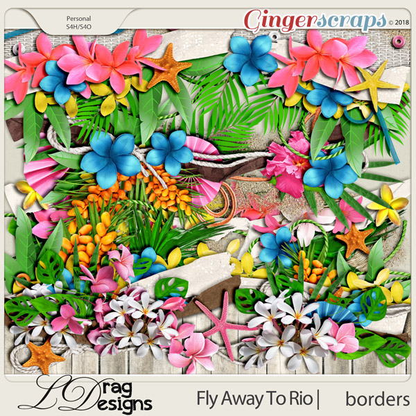 Fly Away To Rio: Borders by LDragDesigns