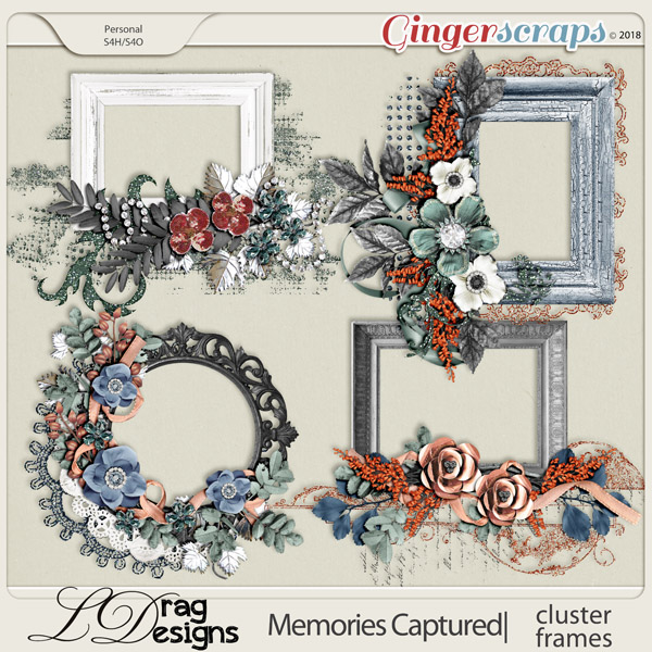 Memories Captured: Cluster Frames by LDragDesigns