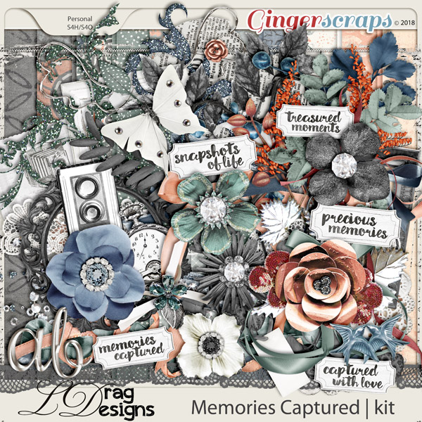 Memories Captured by LDragDesigns