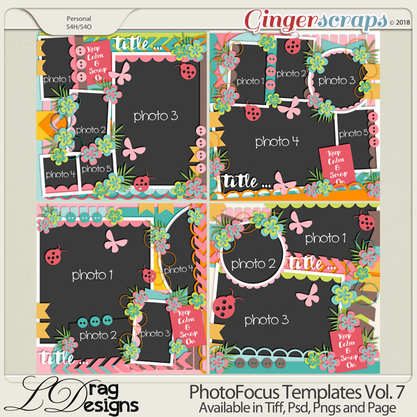 Photo Focus Templates Vol.7 by LDragDesigns