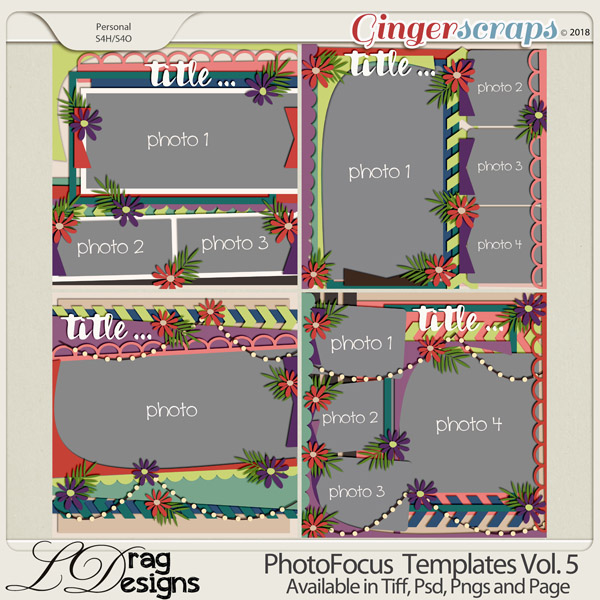 Photo Focus Templates Vol. 5 by LDragDesigns