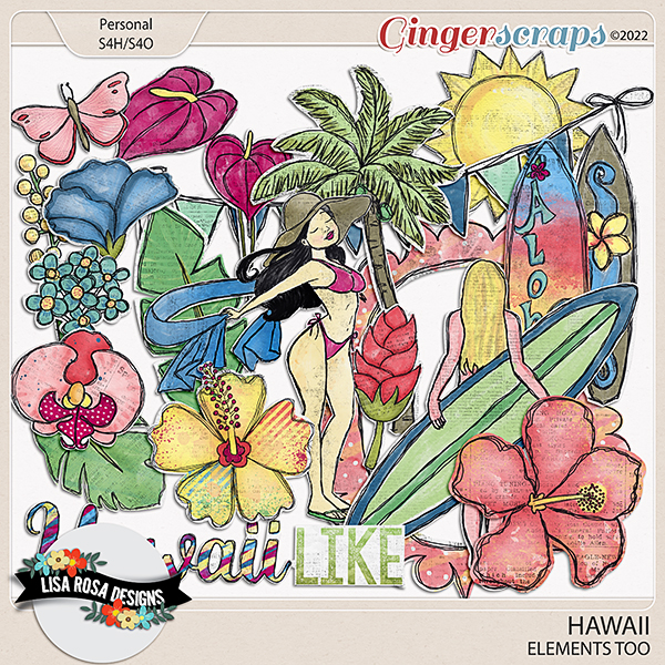 lisarosadesigns_hawaiilikeparadise_elementstoo.jpg