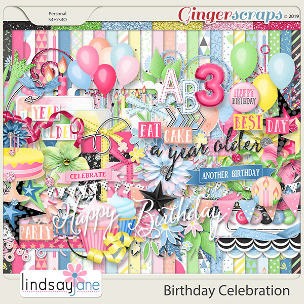 Birthday Celebration by Lindsay Jane