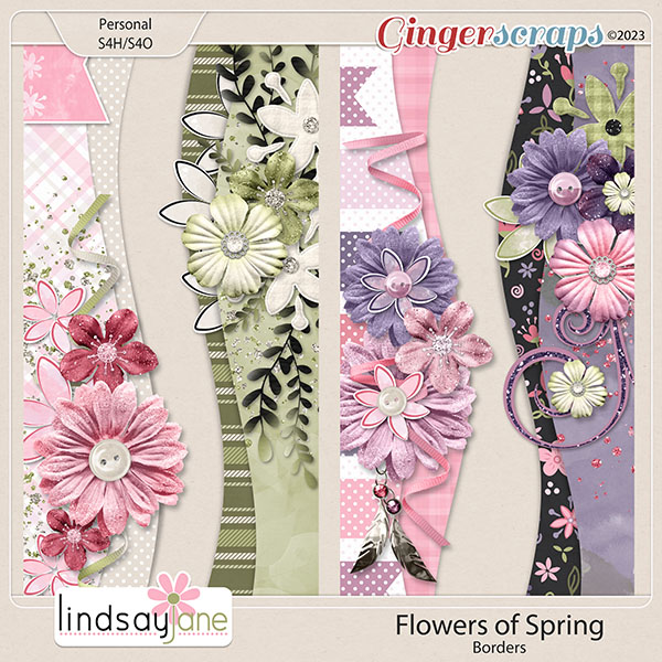 Flowers of Spring Borders by Lindsay Jane