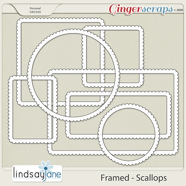 Framed Scallops by Lindsay Jane