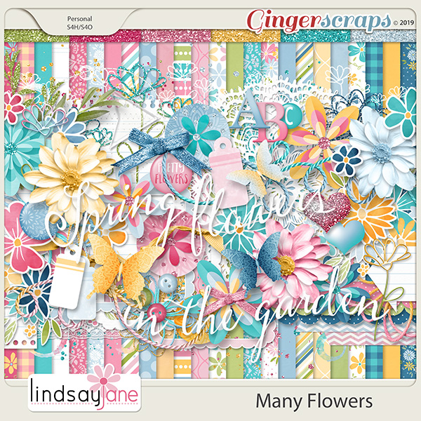 Many Flowers by Lindsay Jane