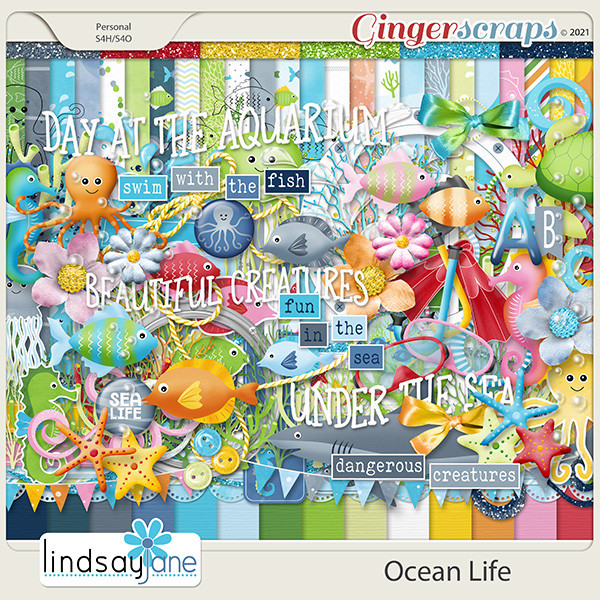 Ocean Life by Lindsay Jane