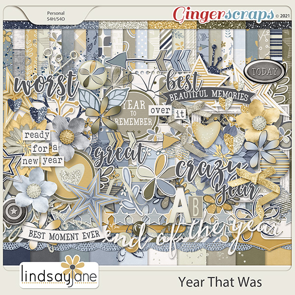 Year That Was by Lindsay Jane