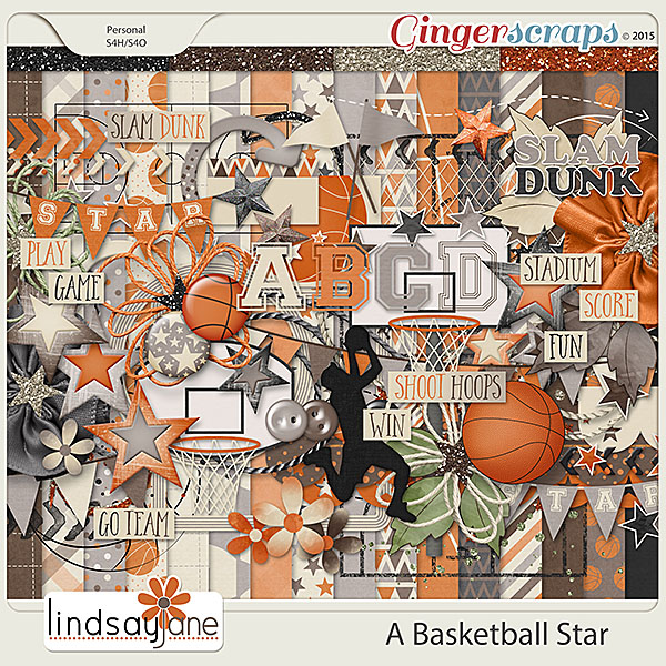 A Basketball Star by Lindsay Jane