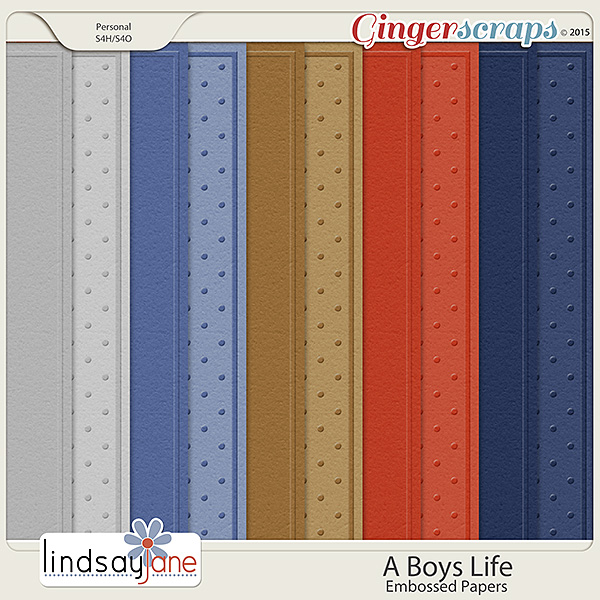 A Boys Life Embossed Papers by Lindsay Jane