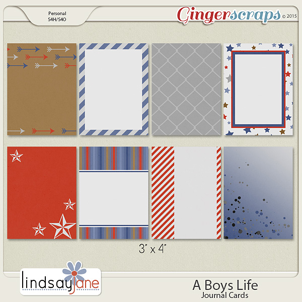 A Boys Life Journal Cards by Lindsay Jane
