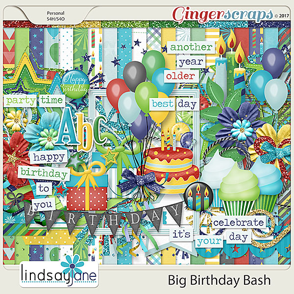 Big Birthday Bash by Lindsay Jane
