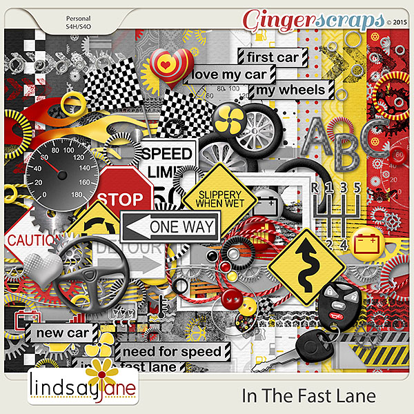 In The Fast Lane by Lindsay Jane