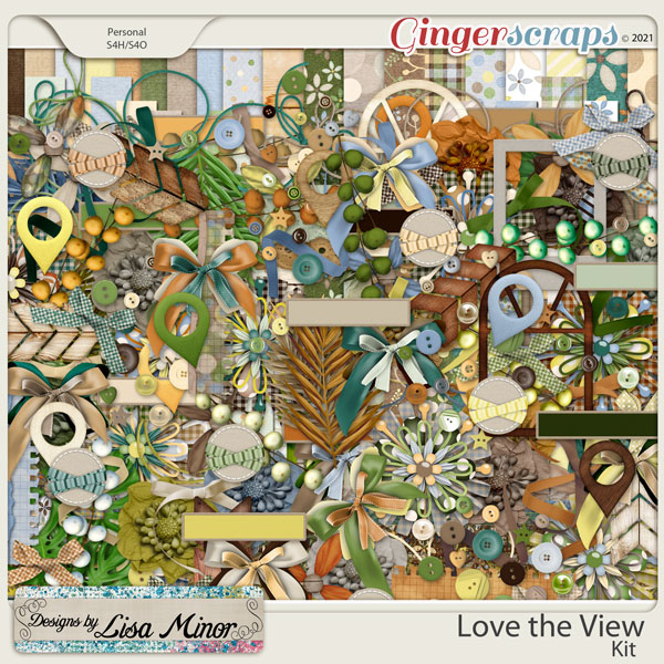 Love the View from Designs by Lisa Minor