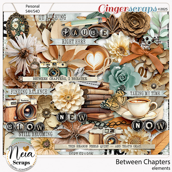 Between Chapters - Elements - by Neia Scraps