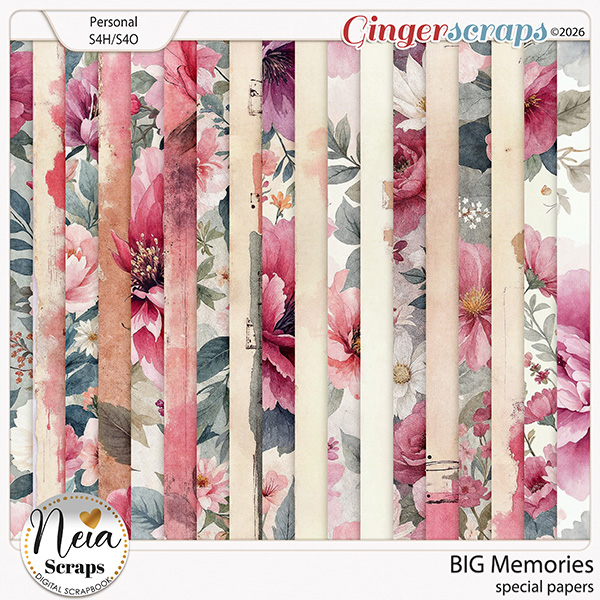 BIG Memories - Special Papers - by Neia Scraps