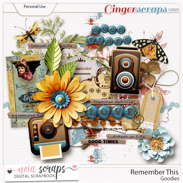 Remember This - Goodies - by Neia Scraps