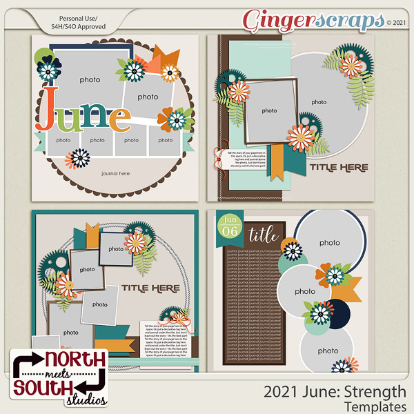 2021 June: Strength Templates by North Meets South Studios