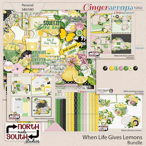 When Life Gives Lemons Value Bundle by North Meets South Studios