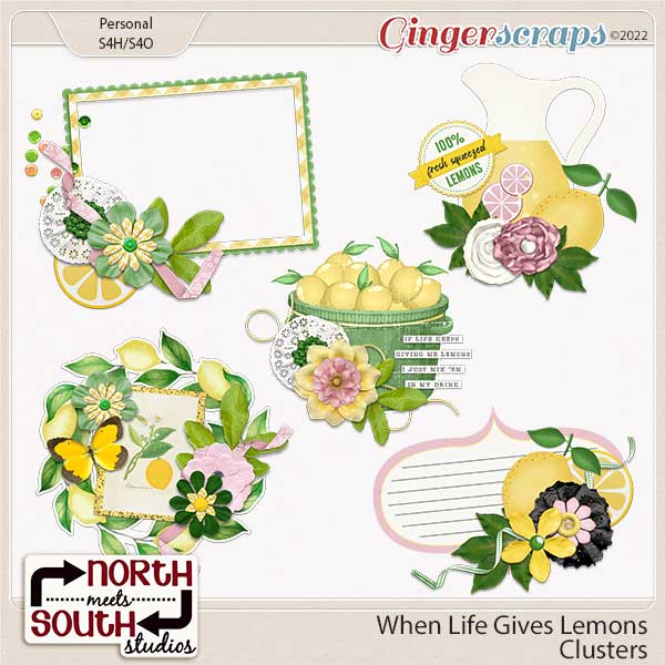 When Life Gives Lemons Clusters by North Meets South Studios