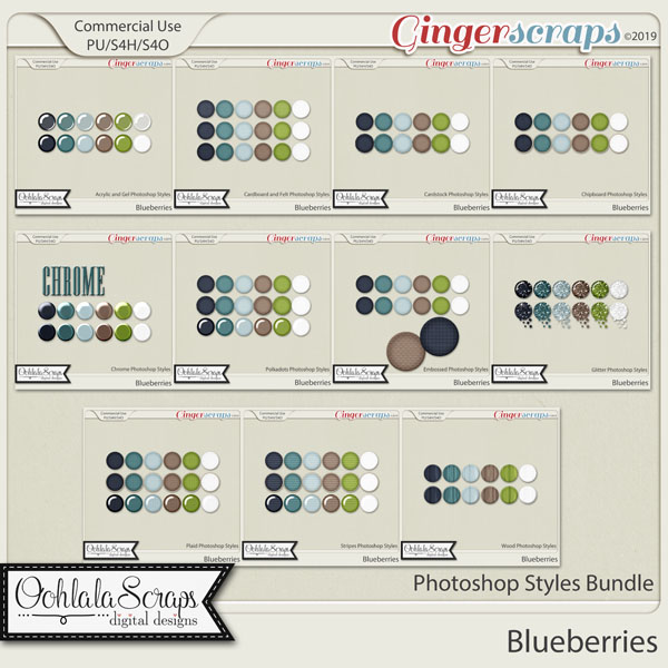 Blueberries CU Photoshop Styles Bundle