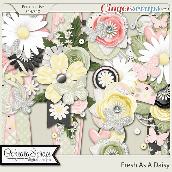 Fresh As A Daisy Page Borders