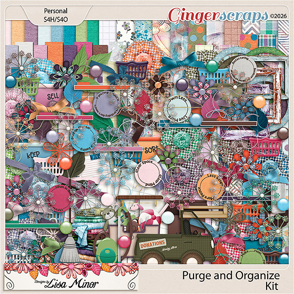 Purge and Organize from Designs by Lisa Minor