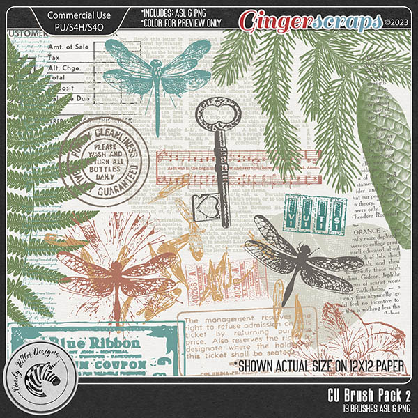 CU Brush Pack 2 by Cindy Ritter 