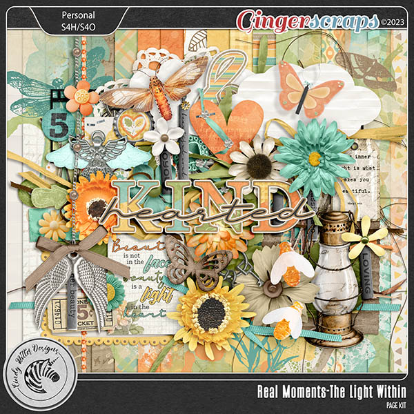The Light Within [Kit] by Cindy Ritter