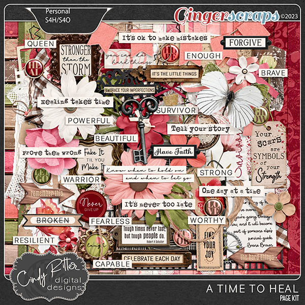 A Time To Heal [Kit] by Cindy Ritter