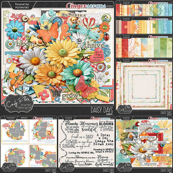 Daisy Days [Bundle] by Cindy Ritter