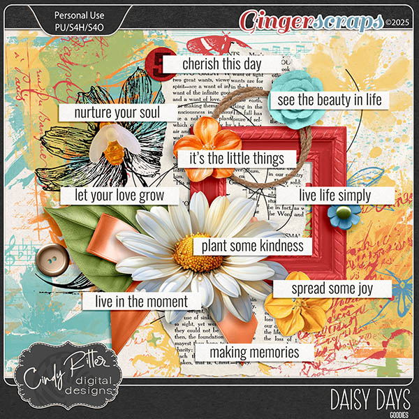 Daisy Days [Goodies] by Cindy Ritter