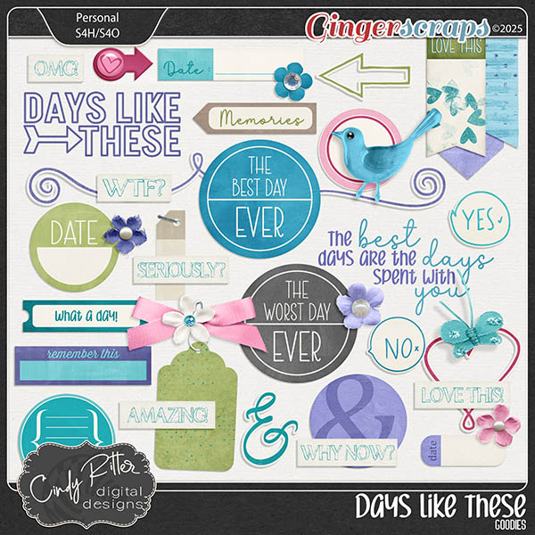 Days Like These [Goodies] by Cindy Ritter 