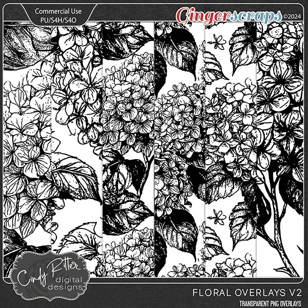 Floral Overlays V2 [CU] by Cindy Ritter