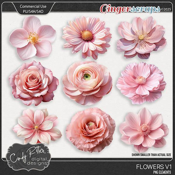 Flowers V1 by Cindy Ritter [CU]