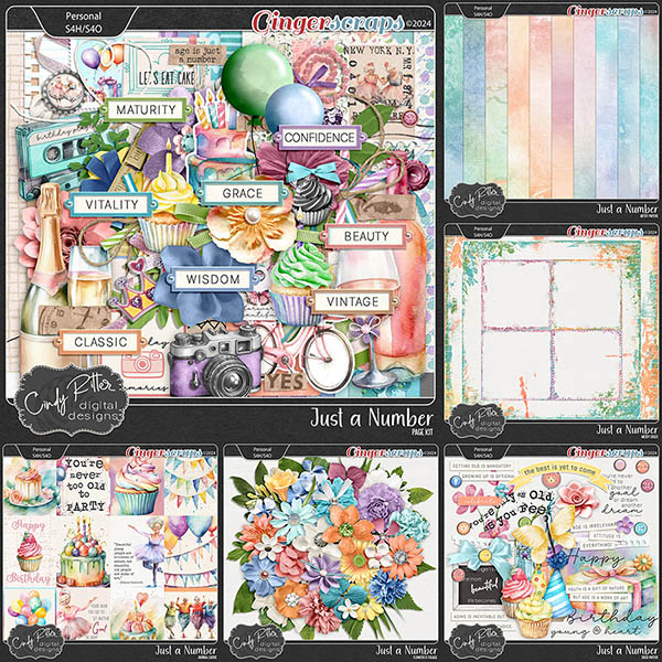 Just A Number [Bundle] by Cindy Ritter