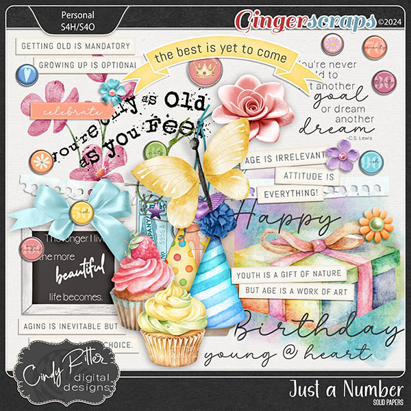 Just A Number [Goodies] by Cindy Ritter