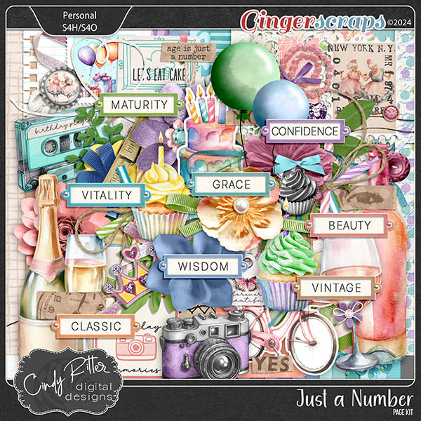 Just A Number [Kit] by Cindy Ritter