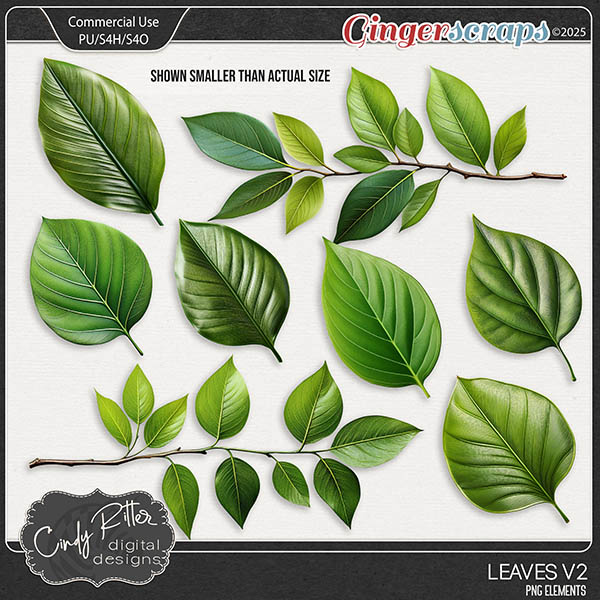 Leaves V2 [CU] by Cindy Ritter