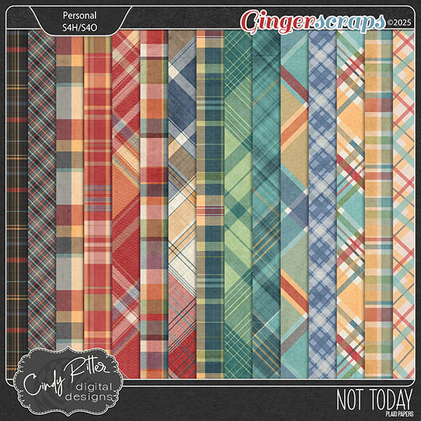 Not Today [Plaid Papers] by Cindy Ritter