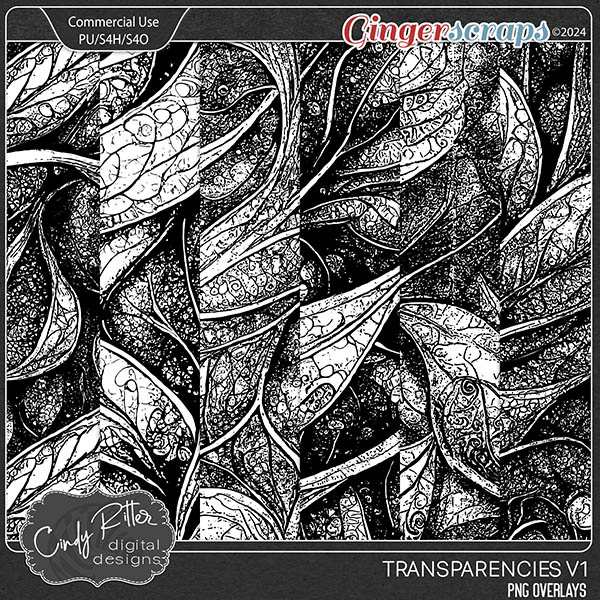 Transparencies V1 [CU Overlays] by Cindy Ritter