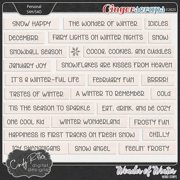 Wonder of Winter [Word Strips] by Cindy Ritter